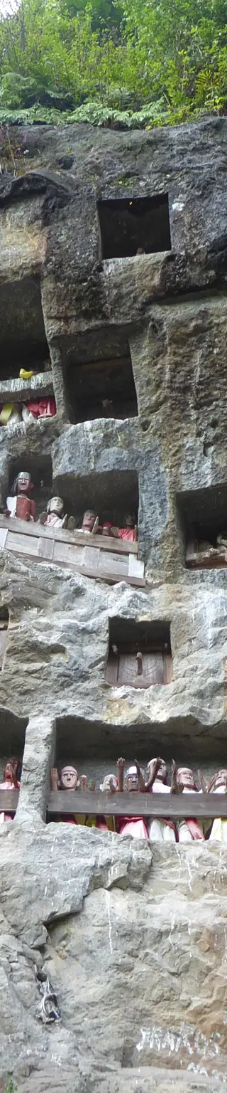 Wanderungen durch Toraja-Hochland zu den traditionellen Höhlengräbern